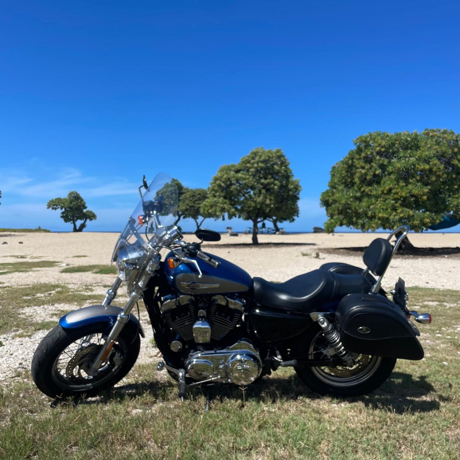 Harley Davidson 1200 Rental Kona