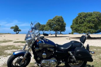 Harley Davidson 1200 Rental Kona